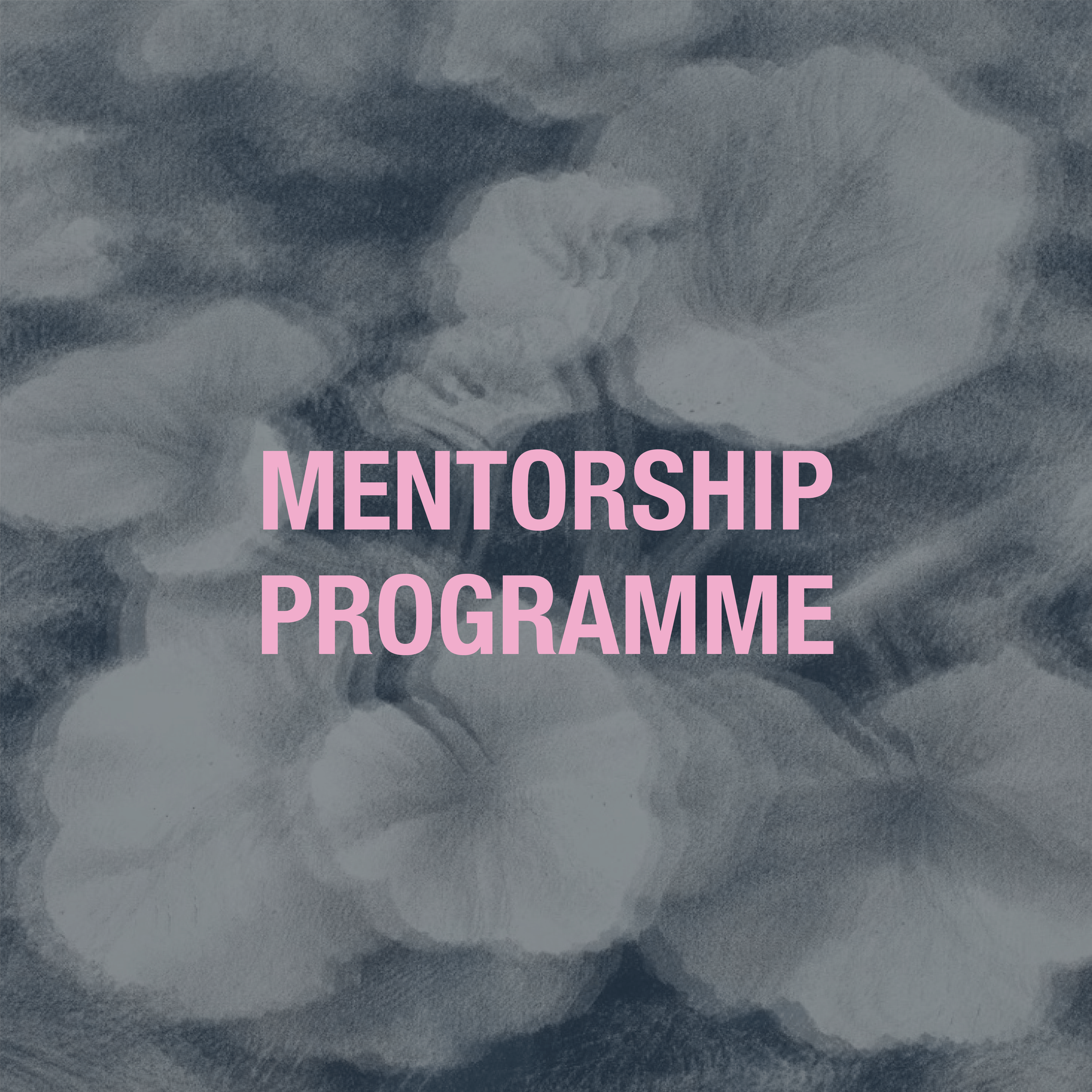 Mentorship programme