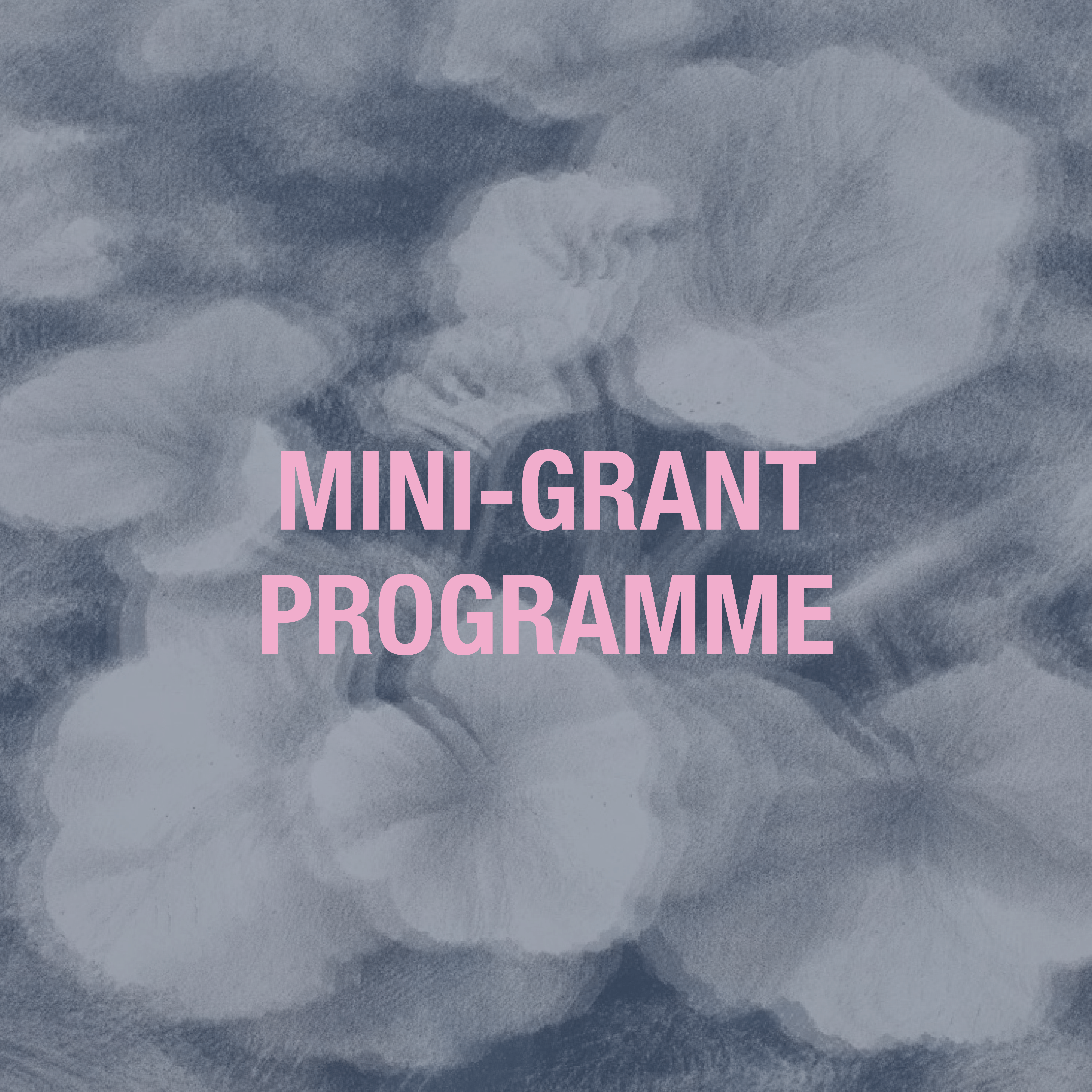 Mini-grant programme